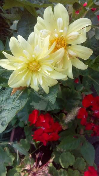 39557918_1894088207561175_4910476946065850368_n