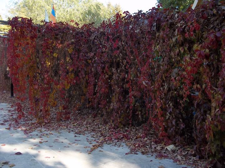 35842343_1737753899627424_8608591504732061696_n