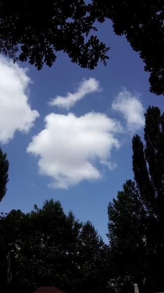 36359948_1751394024930078_6486466374439796736_n