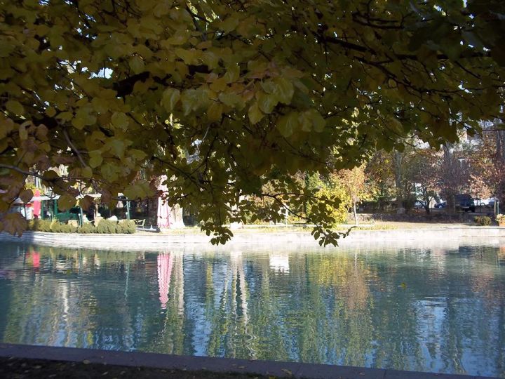 35886343_1737753889627425_7562621819736293376_n