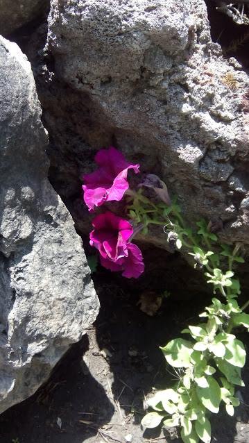 38838075_218089965542490_3503610582345449472_n