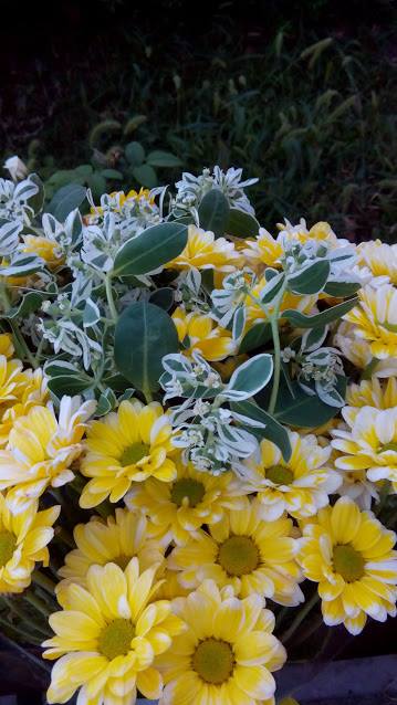 39074187_265066630768045_3440979015593099264_n