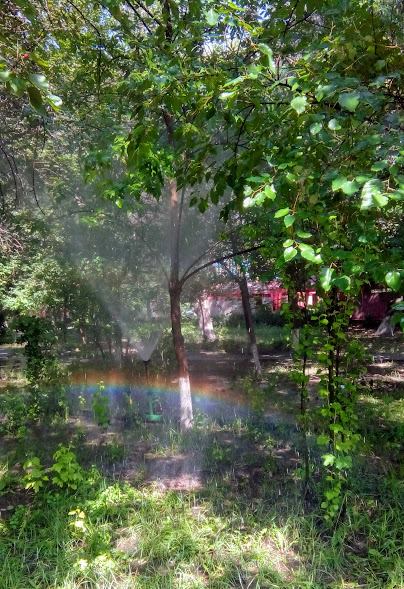 39141046_655088644874362_4834354307216179200_n