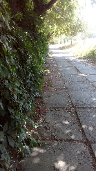 39935763_720074105010920_8288076327567753216_n