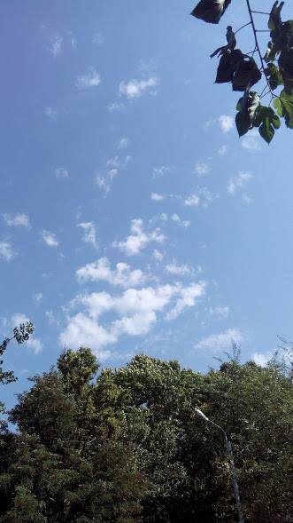 39899855_2140642562875898_5872598509982580736_n