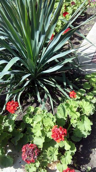 40956227_325119654714380_5152891042055323648_n