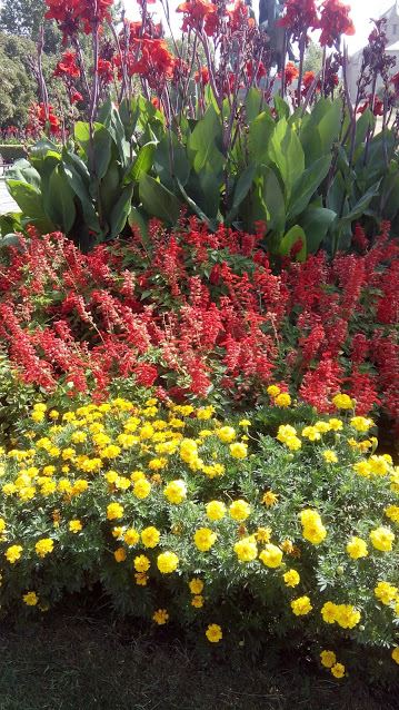 41061094_585907725159331_4311568804887920640_n