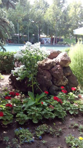 41520203_221220412081686_8530548366961016832_n