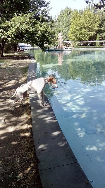 41542269_242854663092698_3066363730288705536_n