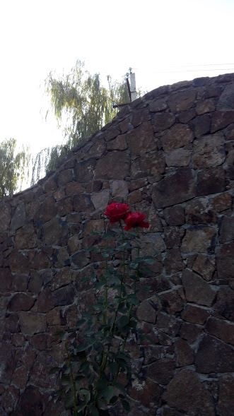 41990928_1934902749907992_5522444356214063104_n