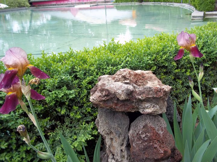 42363937_262799707905196_3441061513324920832_n