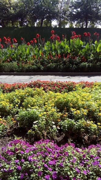 42738752_1858160124271183_1343390303318441984_n