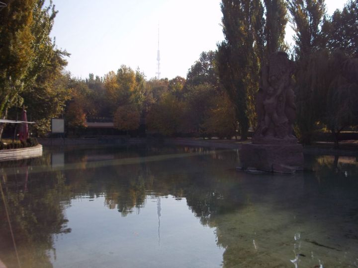 43542671_255199785339173_5680073736196194304_n