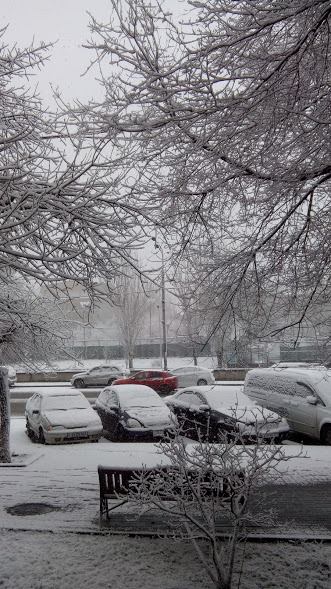 49012486_286756305357744_492015798273966080_n