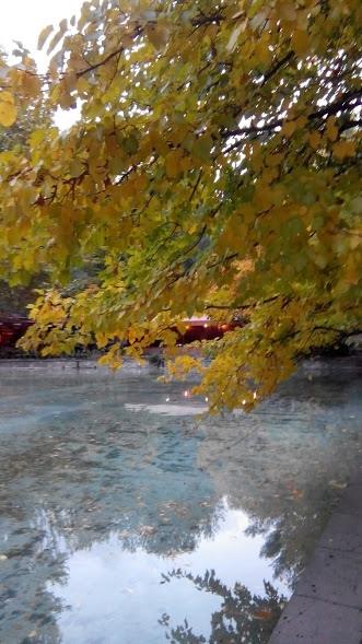 49461844_226572734924762_2347876703088410624_n