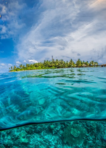 photo-1544550581-1bcabf842b77