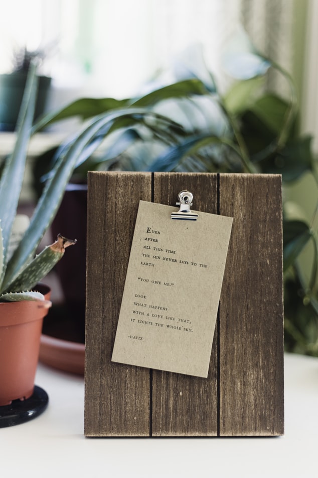 photo-1563883471494-2d9aaf4d46a1