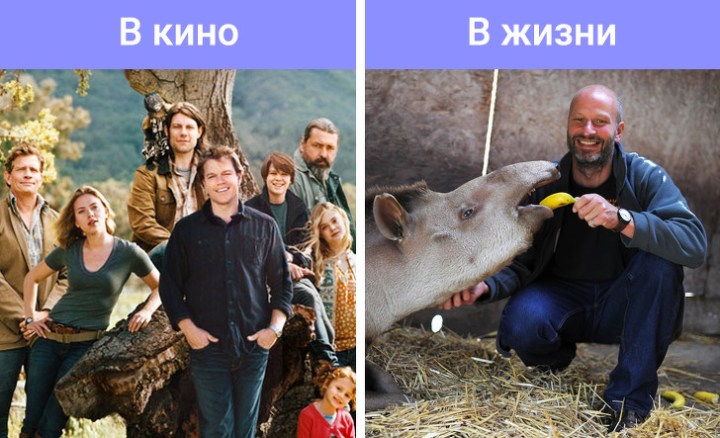 1350465-85355510-f2c7efda7bc64e465c574f0baa149ab19d1c07f3-728-1-1551169365-728-6b874a6b4e-1551369039