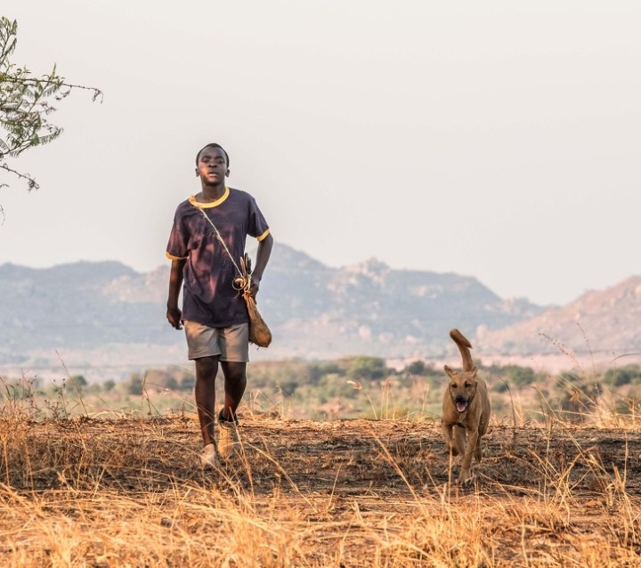 16734565-image-crop-2434x2160-1582107913-728-f67e6b1acf-1582524627