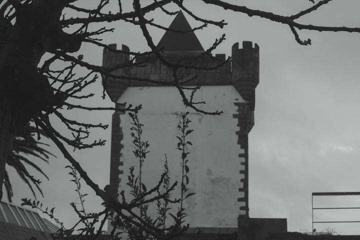 photo-1488673396921-b3585ee76f37