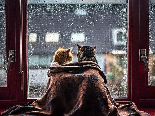 0f07ae4aaefefb205f062c0e60d5e518