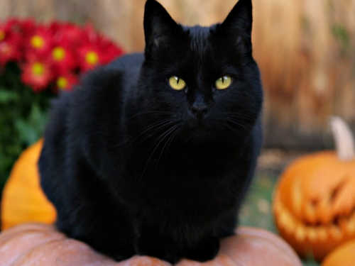 3cdf1ebf542641517941eb3c1c781414