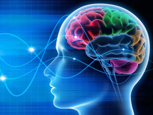 0f07ae4aaefefb205f062c0e60d5e518_D2Q2IXB