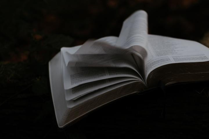 photo-1572061485775-deab4249c8b9