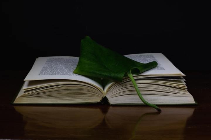 photo-1587321331690-94bce6052d79